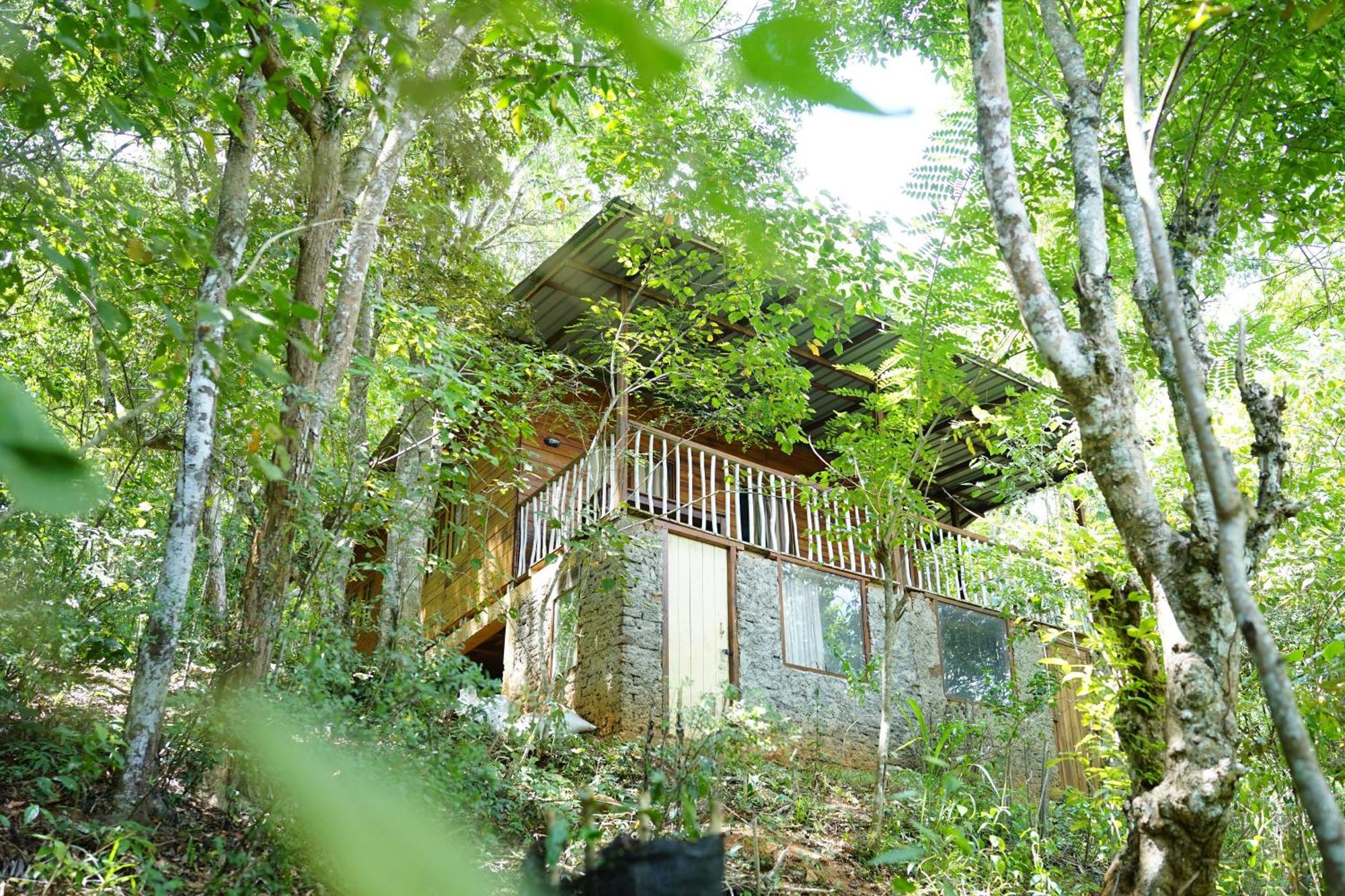 Polwaththa Eco Lodges Digana Exterior foto