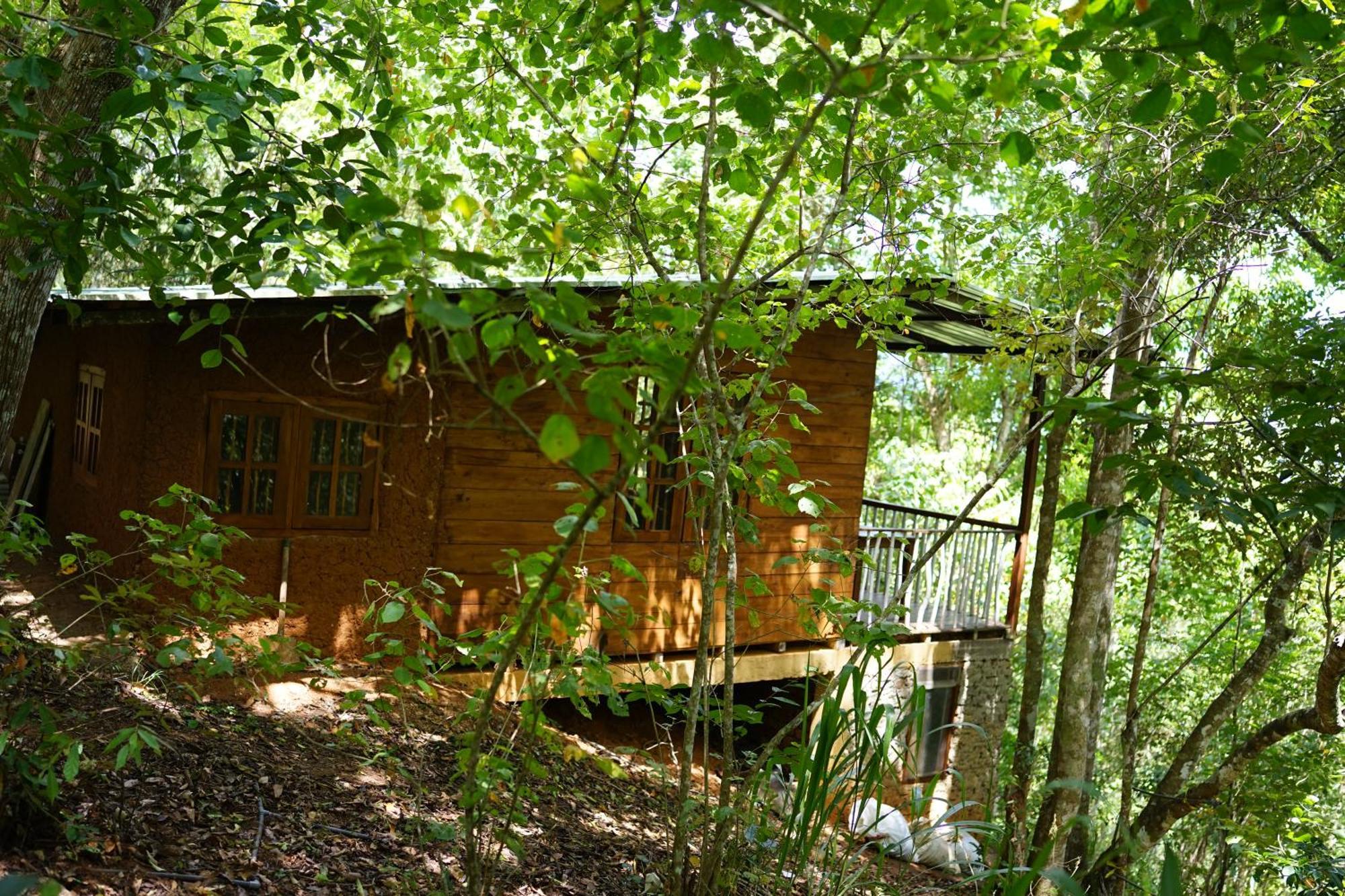 Polwaththa Eco Lodges Digana Exterior foto