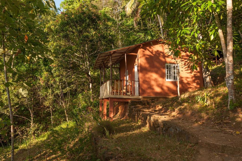 Polwaththa Eco Lodges Digana Zimmer foto