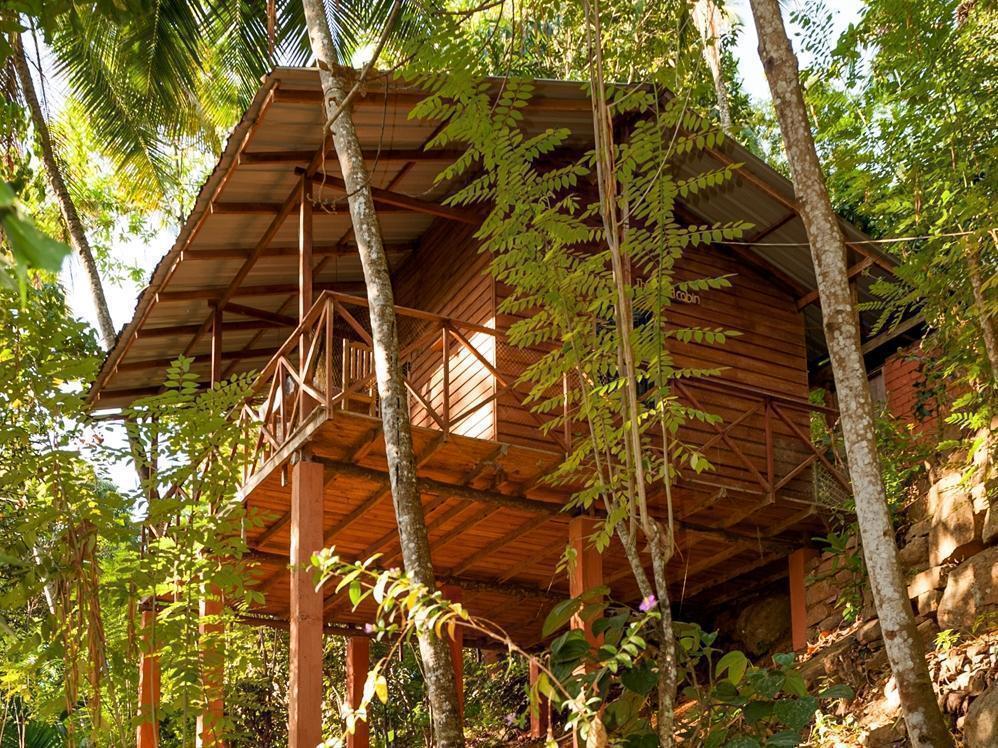 Polwaththa Eco Lodges Digana Exterior foto