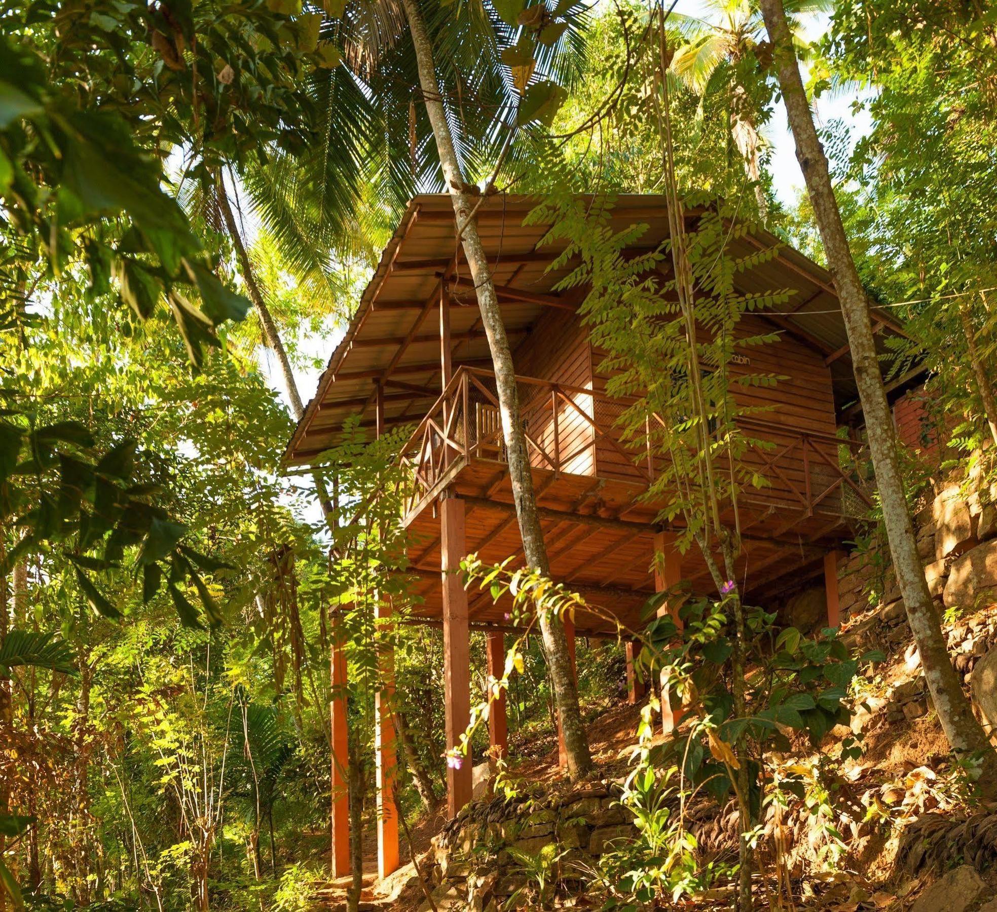 Polwaththa Eco Lodges Digana Exterior foto