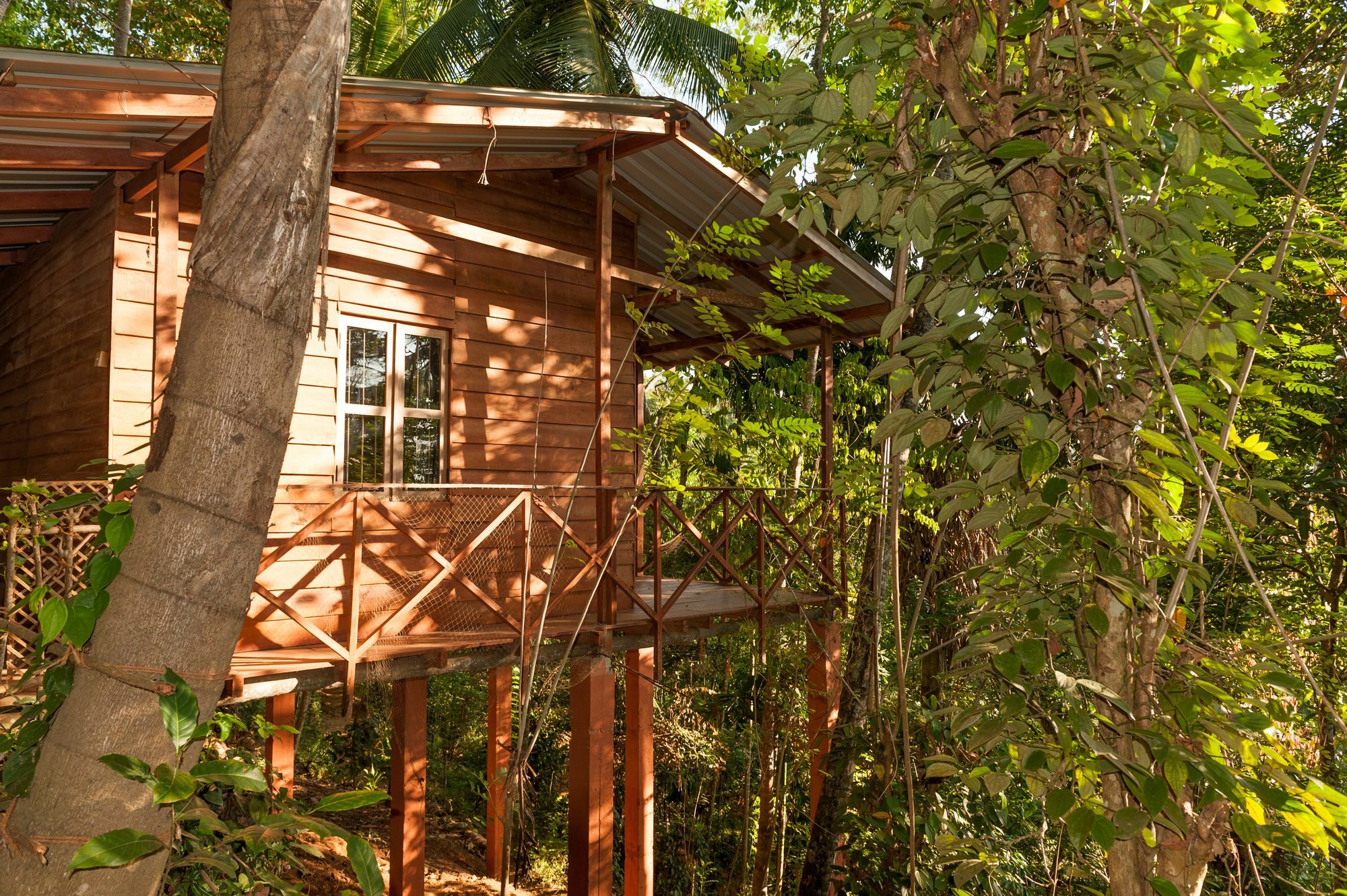 Polwaththa Eco Lodges Digana Exterior foto